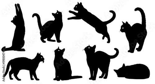 Cats silhouette group with black cat poses for sticker, logo, vector icon, pet care, and playful design