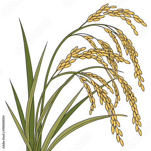 An illustration of a rice plant with green leaves and yellow grains