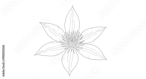 Delicate six petal flower sketch with intricate details and elegant design.