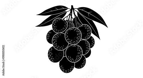 Graphic illustration of a cluster of dark textured lychee fruits hanging from a stem with green leaves against a clean white background symbolizing healthy eating and natural
