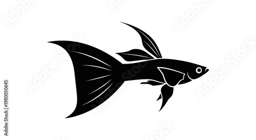 Elegant silhouette of a black guppy fish with flowing fins captured in a clean minimalist vector illustration against a stark white background showcasing aquatic beauty