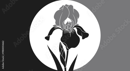 Elegant monochrome iris flower silhouette stylized against a soft gradient circular background symbolizing beauty nature and abstract artistry in a minimalist design