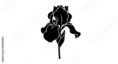 Elegant silhouette of a blooming iris flower with delicate petals and a slender stem isolated on a clean white background representing nature's beauty and floral design elements