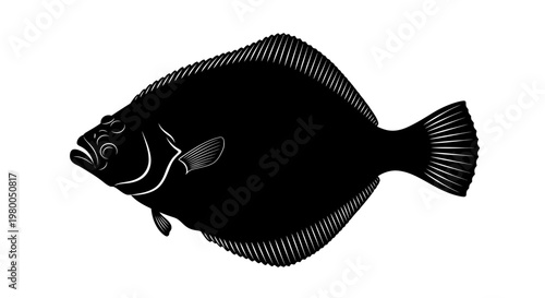 Silhouette of a flatfish commonly known as a flounder or sole depicted in a stark black and white graphic illustration against a clean white background showcasing its distinctive