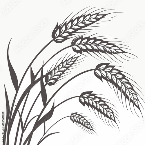 Elegant wheat stalks on in a minimalist illustration style for design and decoration purposes easily