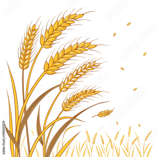 Illustration of golden wheat stalks with grains, symbolizing harvest and agriculture