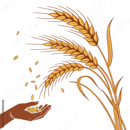 Vector illustration of a hand holding wheat grains with wheat stalks on a pure