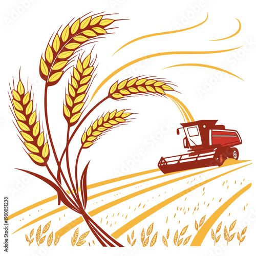 Vector illustration of a combine harvester in a wheat field with golden wheat ears