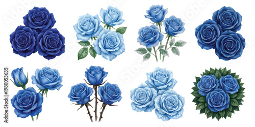 Watercolor blue rose blossoms and floral bouquets with leaves and water droplets, isolated on transparent background