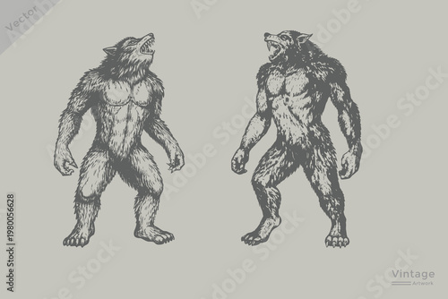 Hand-drawn Halloween werewolf howling vector illustration. Halloween werewolf set in vintage engraving style vector.