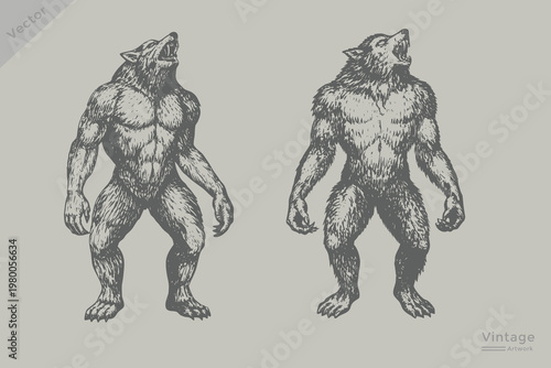 Hand-drawn Halloween werewolf howling vector illustration. Halloween werewolf set in vintage engraving style vector.