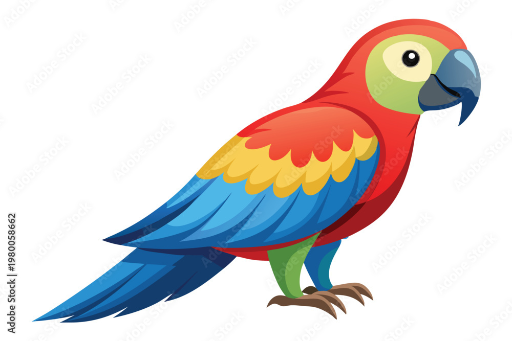Fototapeta premium parrot vector on white background