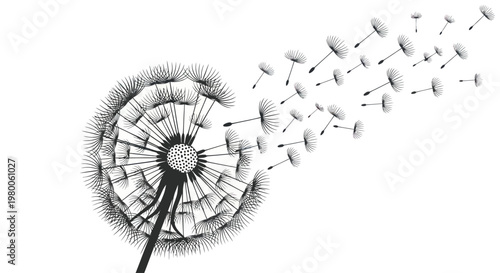 Dandelion Seeds Dispersing in Air.