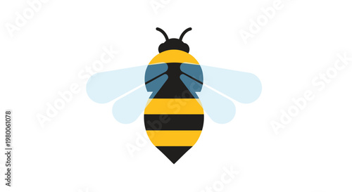 Tableau sur toile Detailed illustration of a honey bee.