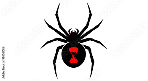 Black widow spider with red mark.