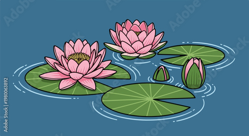 Pink water lilies bloom on a tranquil blue pond with lily pads