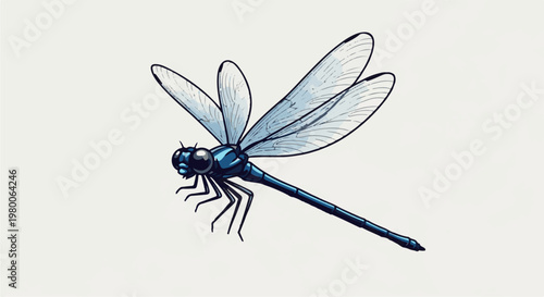 Blue dragonfly with delicate wings and segmented body posed on white