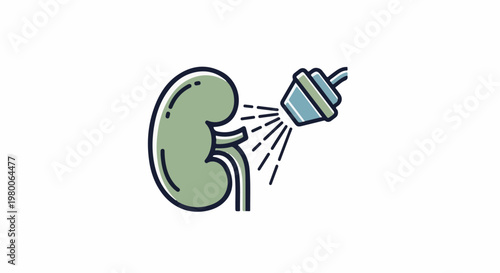 Stylized graphic of a kidney being rinsed by a spray nozzle
