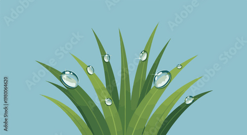 Close-up of dewdrops on green grass blades against a clear blue sky