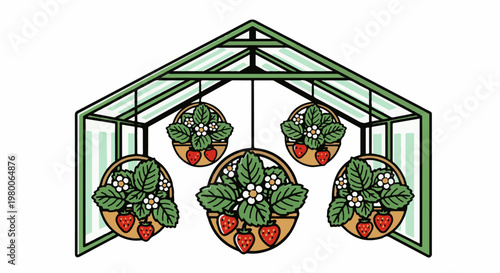 Greenhouse with hanging baskets of strawberries and white flowers