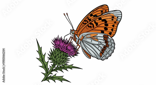 A stylized orange and white butterfly sips nectar from a purple thistle bloom