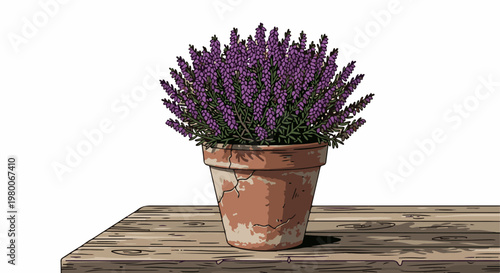 Cracked terracotta pot with purple heather blooms on a wooden surface
