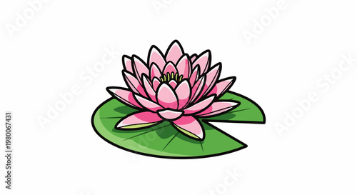 A stylized pink water lily flower floats on a green lily pad