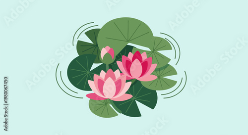 Gentle water lilies bloom with vibrant pink petals amid lush green lily pads
