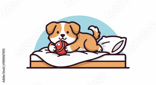 Adorable brown and white puppy on a mattress holding a red ball