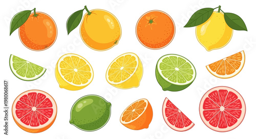 A fresh collection of ripe citrus fruits featuring isolated slices of orange, lemon, lime, and juicy grapefruit with green leaves for a healthy tropical diet