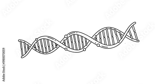 Detailed line art illustration of a DNA double helix structure representing genetics and biotechnology on a plain white background.
