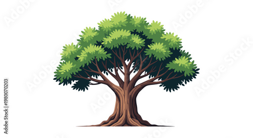 Grand old deciduous tree with a thick trunk and a dense canopy of green leaves isolated on a white background for nature design.