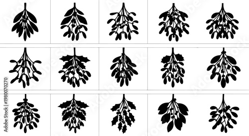 Collection of various hanging plant leaves in black silhouette on white background for design and decoration
