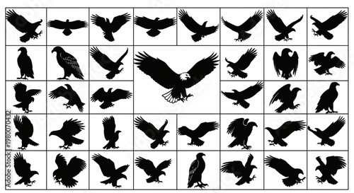 Collection of diverse eagle silhouettes in various dynamic poses and flight actions showcasing wingspan predatory stance and majestic aerial movements against a clean white