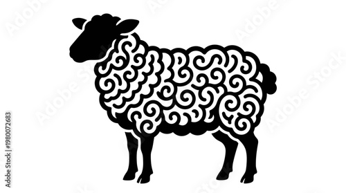 Black Sheep with Swirling Pattern Wool.