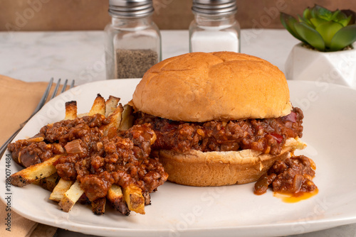 Photography sloppy joe sandwiich with homemade french fries