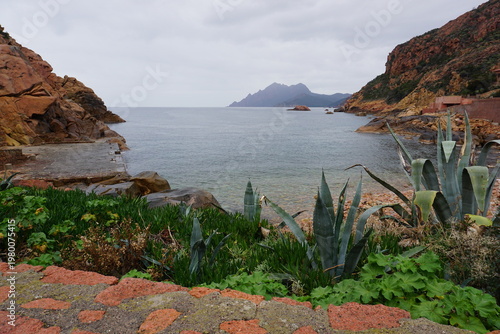 view of the coast of the mediterranean sea in the town of porto on the island of corsica, france with the harbor and beach