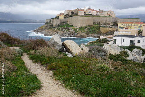view of the coast of the mediterranean sea by the town of calvi, corsica, france