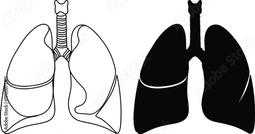 Human lungs anatomy illustration a detailed black and white depiction