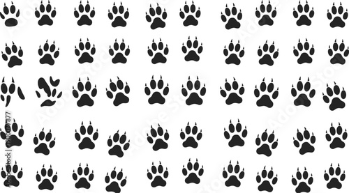 Animal, paw, prints, silhouette, tracks, footprint, wildlife, black, pattern, design, dog, cat, predator, trail, nature, illustration, set, texture, collection, icon