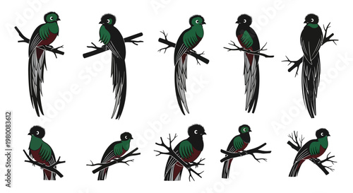 Collection of elegant resplendent quetzal birds perched on tree branches showcasing vibrant green plumage and long flowing tails in diverse poses against a clean white background