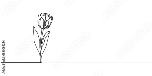 Tulip one line drawing. Abstract flower continuous line. Minimalist contour drawing of tulip. Continuous line drawing of flower tulip. one line Icon drawing, pro