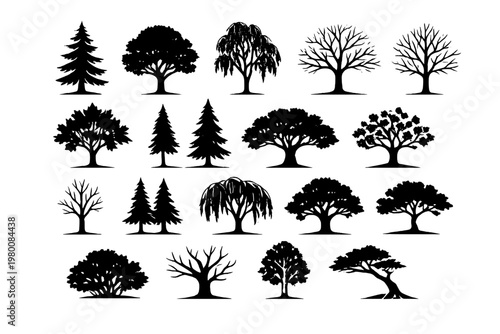 Large Collection of Black and White Tree Silhouettes Featuring Various Deciduous and Coniferous Species Like Pine, Oak, Willow, Maple, and Spruce for Nature Landscape Design and Botanical Projects