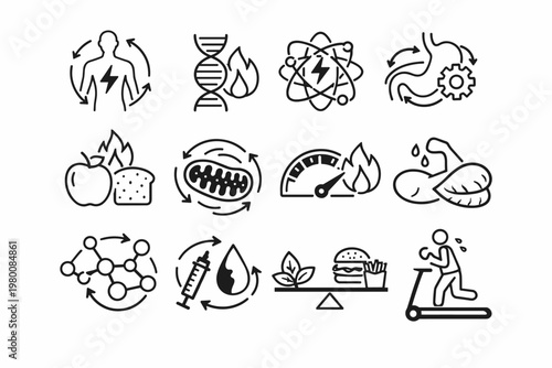Metabolism Line Icons Set featuring Metabolic Process Vector Illustrations. Simple Flat Icons for Health, Energy, Nutrition, Biology, Fitness, Digestion, Mitochondria, DNA, Exercise, and Dieting.