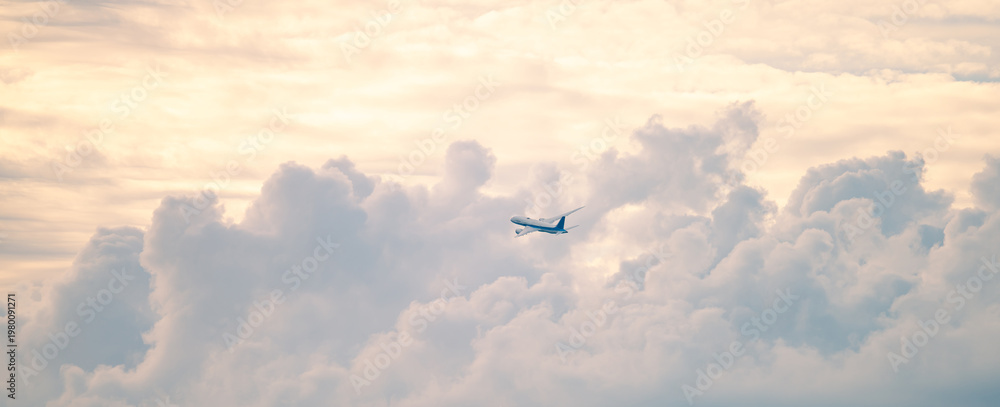 Fototapeta premium 飛行機
