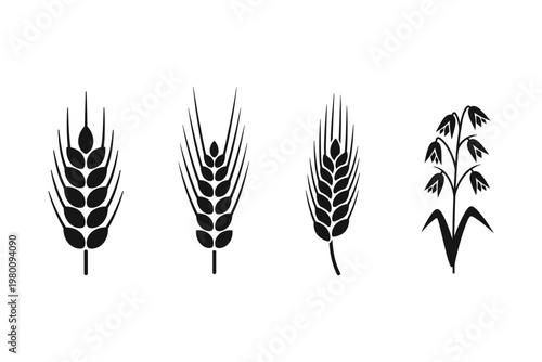 Cereal Grains Collection Icons