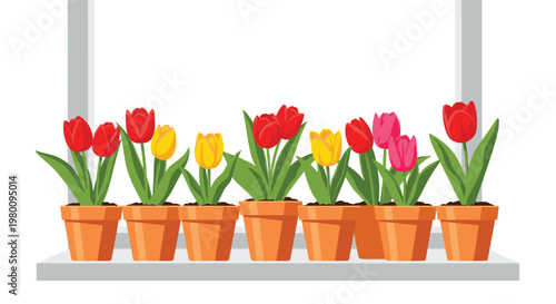 A long row of eight potted tulips featuring vibrant red, yellow, and pink flowers are arranged perfectly on a window sill against a clear glass background.