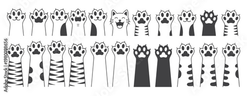 Cat Paws and Legs in Various Patterns and Colors Keywords: cat, paws, legs, animal, pet, feline
