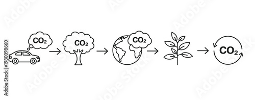 Carbon dioxide cycle from car to plant and earth automobile
