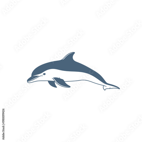 Dolphin swimming in the ocean water.